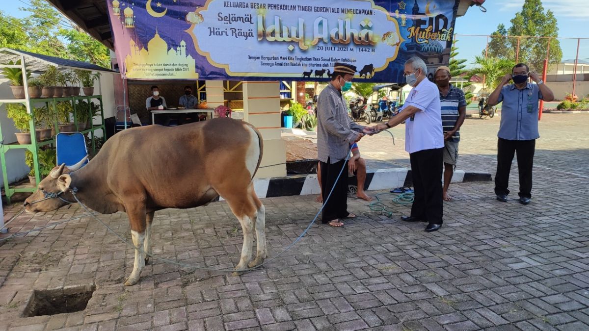 Penyembelihan Hewan Qurban Tahun 1442 H/2021 M di Pengadilan Tinggi Gorontalo